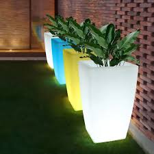 Lighted Pots